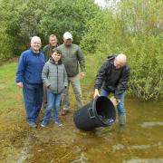 Members of Darlington Anglers' Club stocking Cleasby Lake