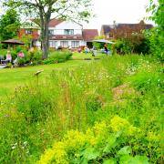 Stokesley Open Gardens Picture: TIM DUNN