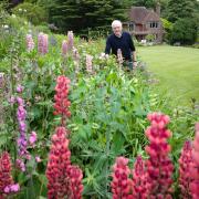 Mike Heagney at Tudor Croft, which has seen a record-breaking year for charity takings – photo by Joe Cornish