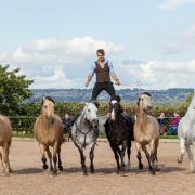 Ben Atkinson put on a show at Richmond Equestrian Centre Picture: Jim Wood Images