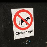 Romanby dog walkers urged to pick up after their pets
