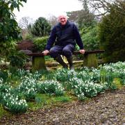 Mike Heagney, with a view of some of the snowdrop collection in his garden