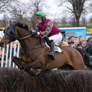 Action at Bedale Point to Point at Hornby Castle
