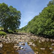 The River Swale above Wain Wath Force, by Jonathan Ryder