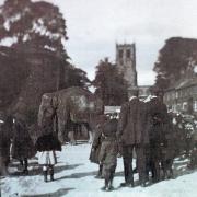 An elephant in Bedale's main street, probably in the 1940s, with St Gregory's Church in the distance