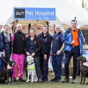 24/7 Pet Hospital was filmed at Wear Referrals in Bradbury, near Stockton, with the first episode airing on BBC One next Monday (February 6) at 10am