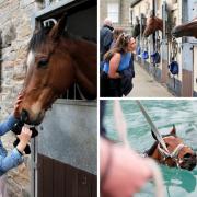Stables at Middleham will throw open their doors on Friday April 7