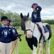 Volunteers with Dexter and RDA rider