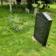 We think the final resting place of my mum’s grandmother, Mary ‘Polly’ Lacy, is where the clump of dead daffodils is, just to the left of the gravestone of Mary Ann Dale and her husband Martin. John Cook’s headstone is just beyond the clump of
