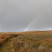 A rainbow over Kildale Moor