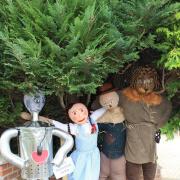 Previous Scarecrow trails have featured the case of the Wizard of Oz