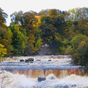 Aysgarth Falls in full flood