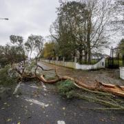 Emergency services have issued advice to residents as Storm Pia hits York and North Yorkshire.