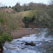 The River Swale, looking upstream towards Easby Abbey, by John Walton