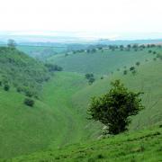 The dry valley at Deep Dale in the Yorkshire Wolds