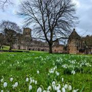 Fountains Abbey, by Debbie Burrows