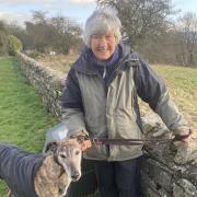 Helen with Dane the greyhound stepping out on one of her 40 ten kilometre walks