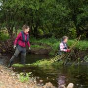 Volunteers willow spiling to create natural flood management