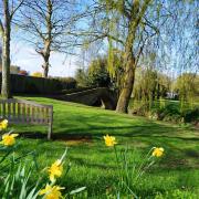 A perfect spring scene at Romanby Packhorse Bridge, by Liz Whelan, of Romanby