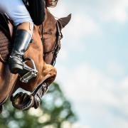 Landowner seeks consent for unauthorised riding centre at Brompton, Northallerton
