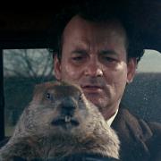 Nineties movie Groundhog Day starring Bill Murray made Punxsutawney Phil a global star