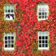 Beth Harle looks out from her window today, completely surrounded by autumnal colour at Morritt Country House Hotel. Pictures: North News & Pictures/Paul Kingston