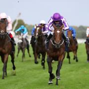 HISTORY: Kew Gardens and Ryan Moore win last year's St Leger at Doncaster