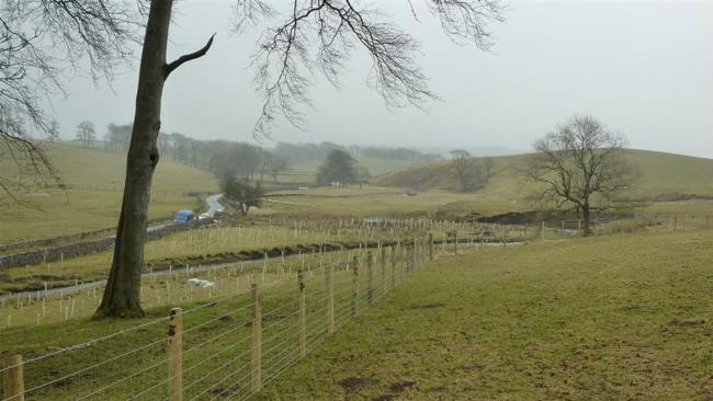 PROTECTION: tree-planting and fencing alongside Otterburn Beck in the Dales