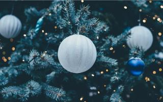 Teesside Hospice's Christmas tree shop will be located at Smith and Friends (Robinsons Tees Valley) in Ingelby Barwick Credit: PIXABAY