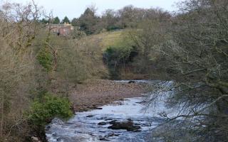 The River Swale, looking upstream towards Easby Abbey, by John Walton