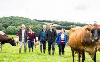 Free support on offer for farmers across Durham Dales through UTASS-hosted RCF events