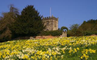 Gardens in Crayke will open to the public on Sunday